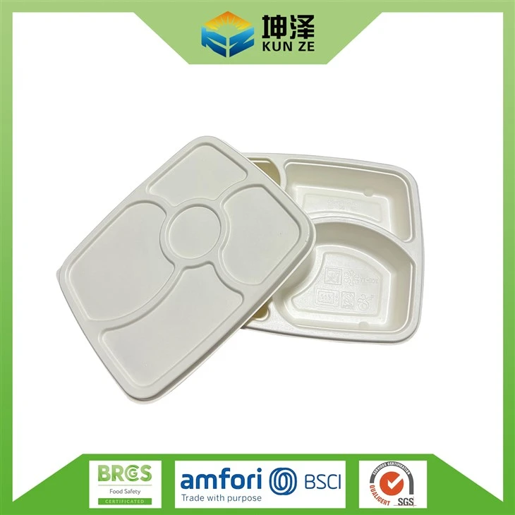Disposable Lunch Trays With Lids
