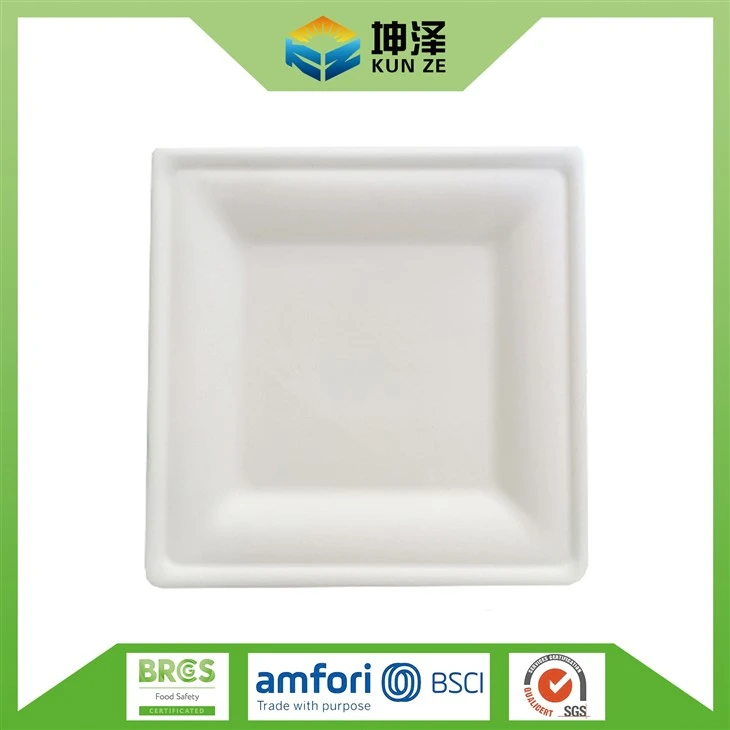Disposable Paper Dish