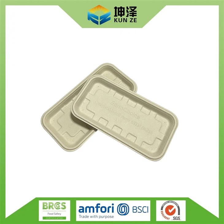 Sugarcane Bagasse Tray